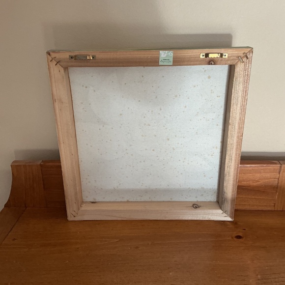 Lily Pad Pictures - Picture 7 of 9